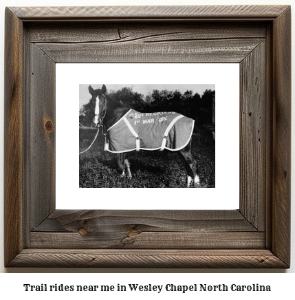 trail rides near me in Wesley Chapel, North Carolina